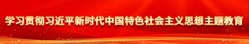 鸡巴日逼学习贯彻习近平新时代中国特色社会主义思想主题教育